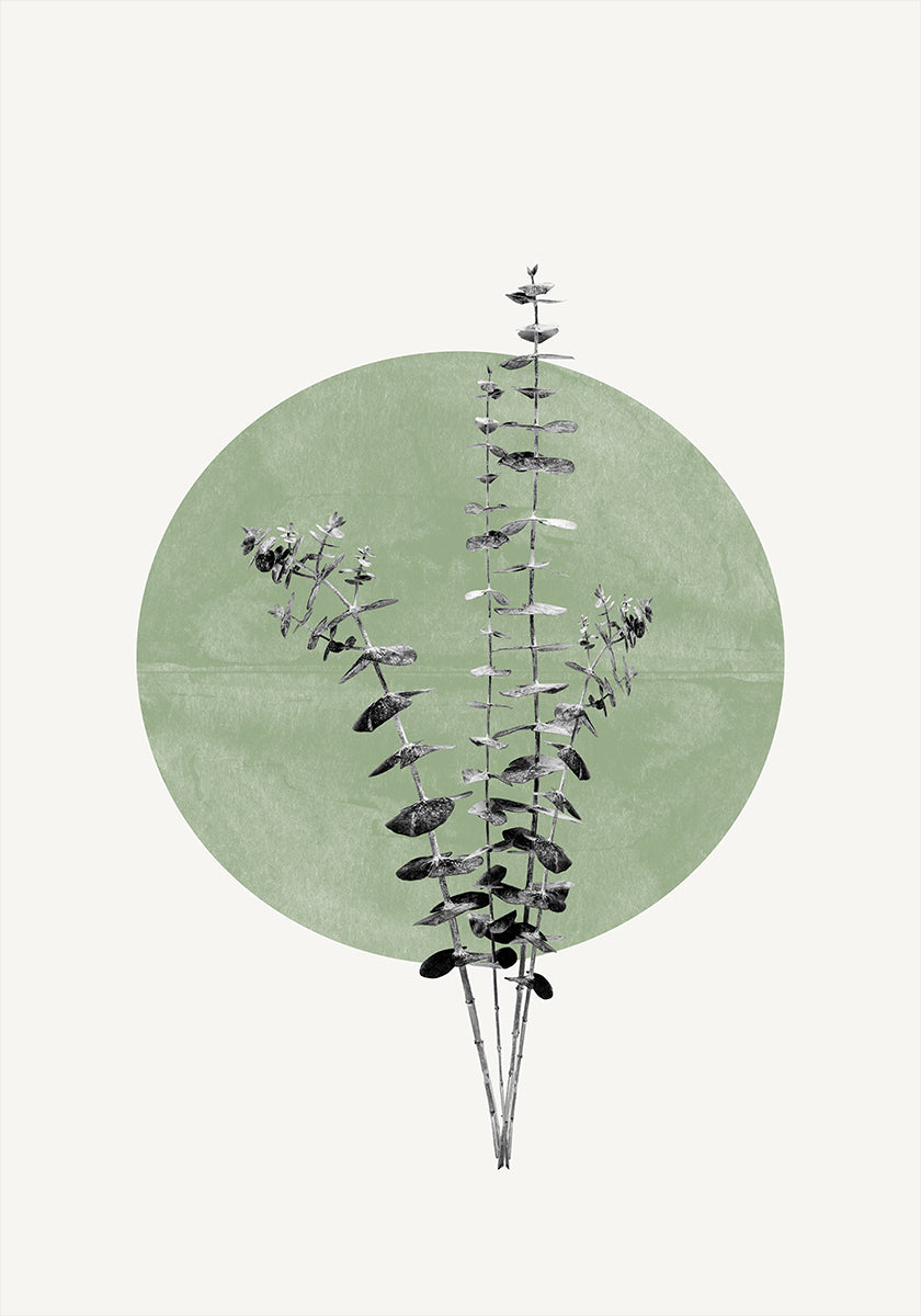 Nature's Echo -juliste