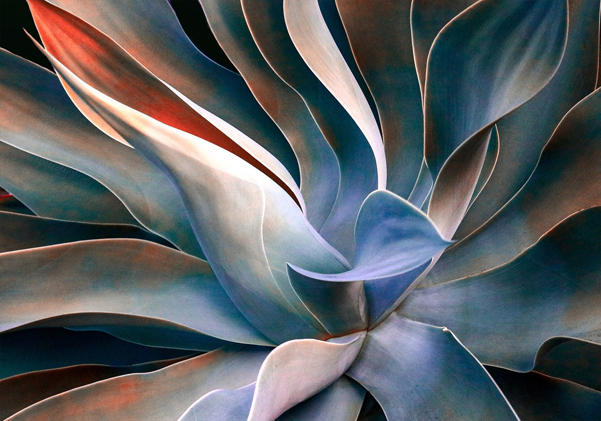 Värit lehtien julisteessa