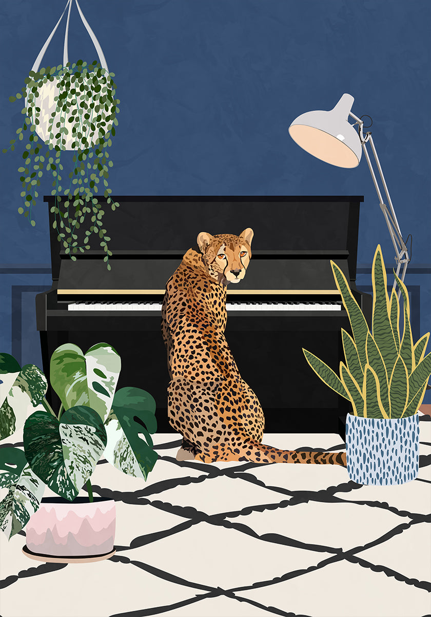 Gepardi soittaa pianoa Juliste