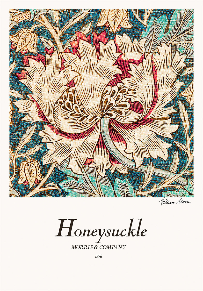 Honeysuckle juliste