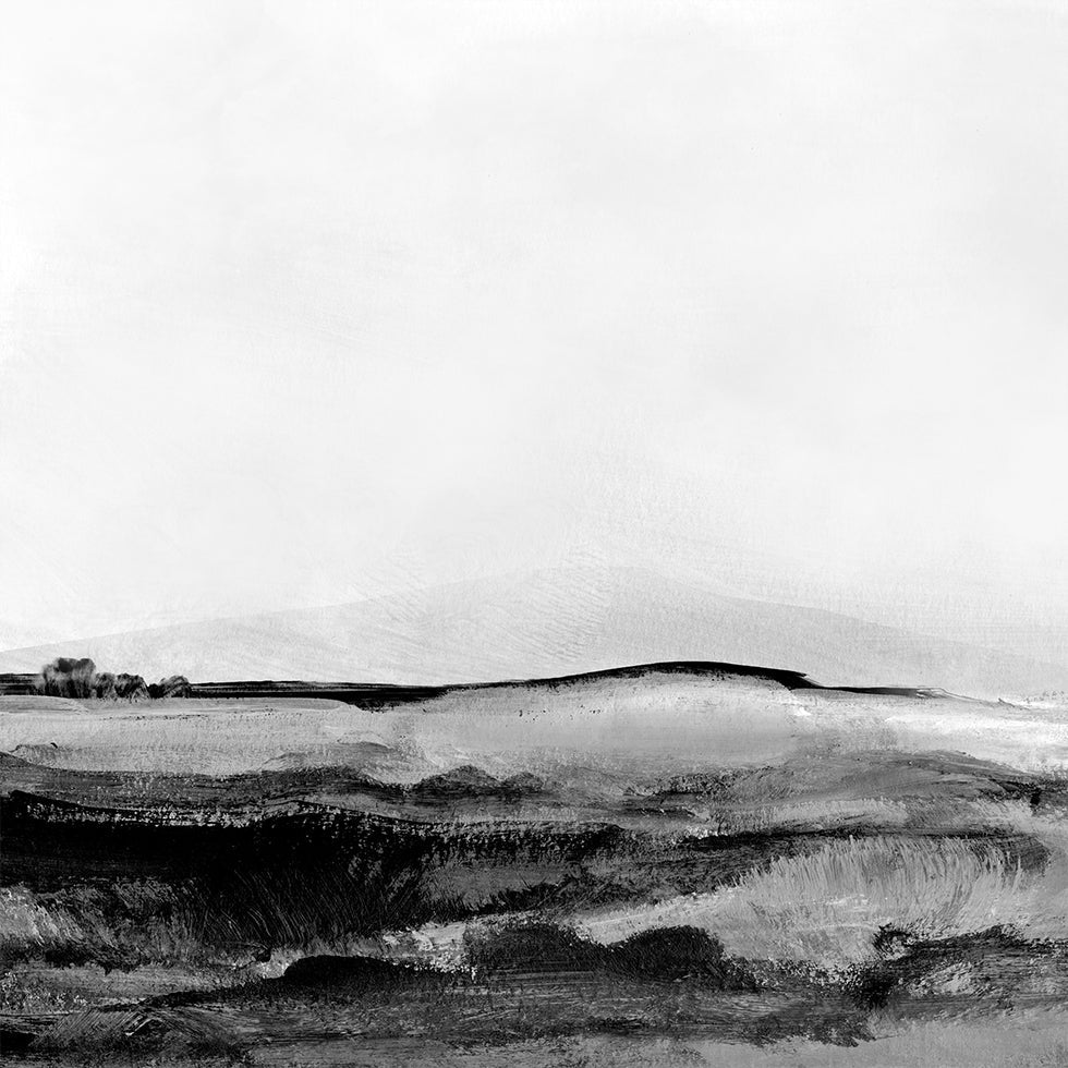 Mono Landscape No1 juliste
