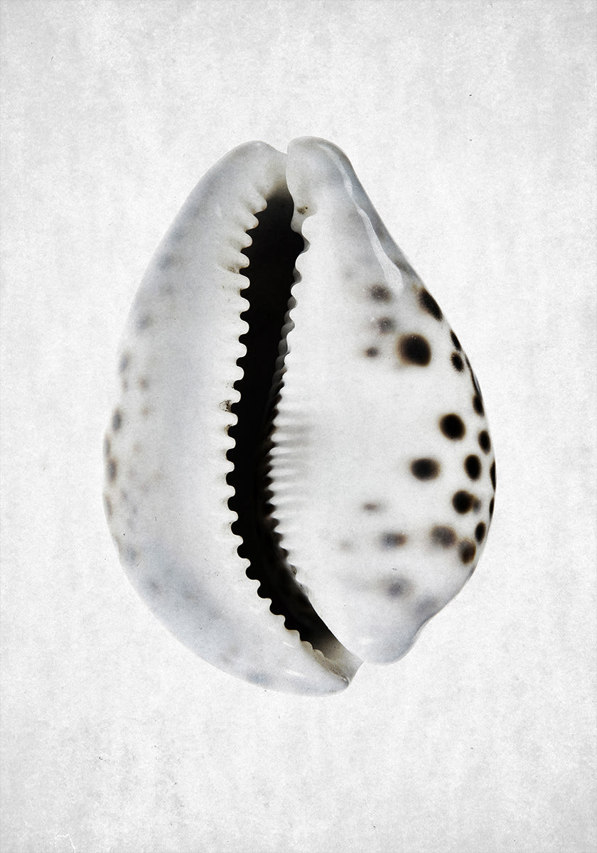 Kevään vuorovesi