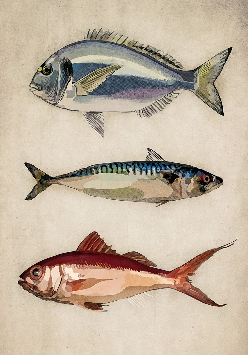 Ocean Lifen trio