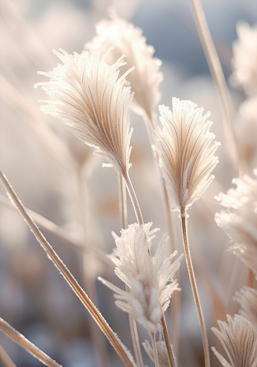 Himmeä Elegance-juliste