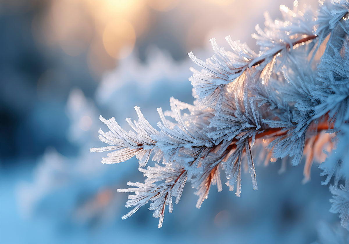 Himmeä Serenity-juliste