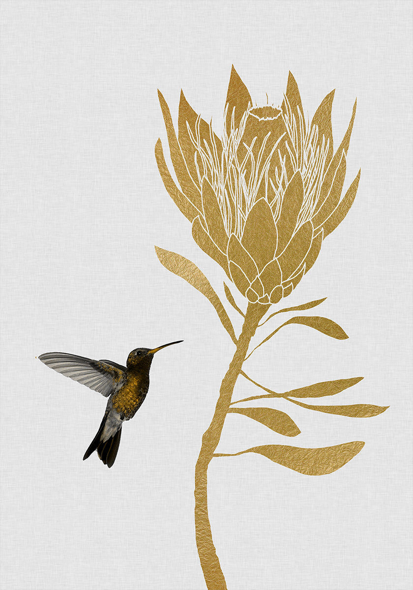 Hummingbird & Flower In Poster