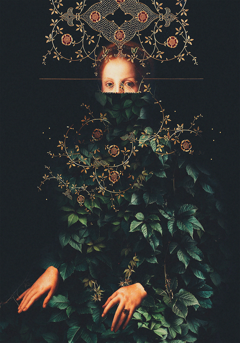 Patience II, kirjoittanut Frank Moth