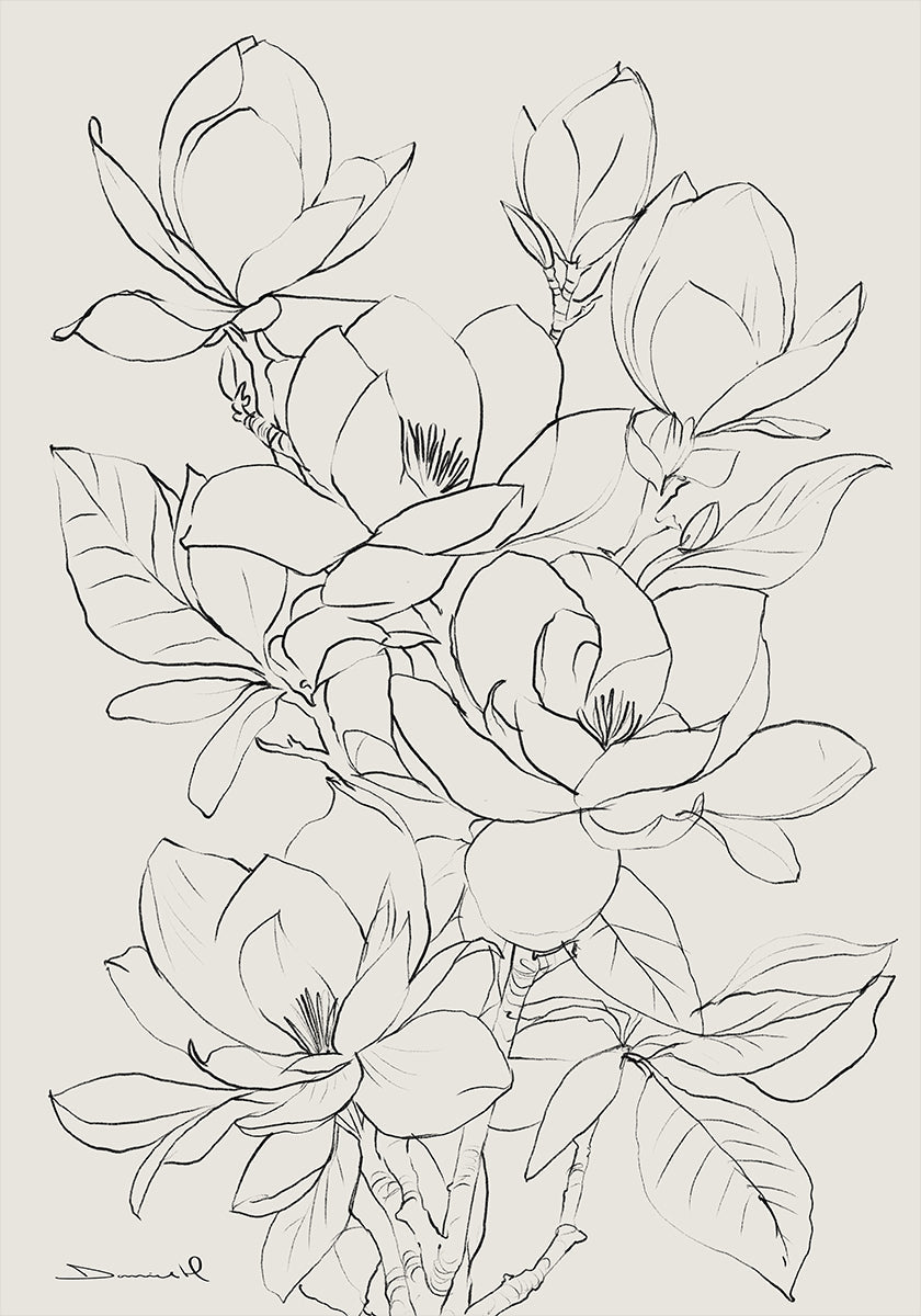 Magnolia puu