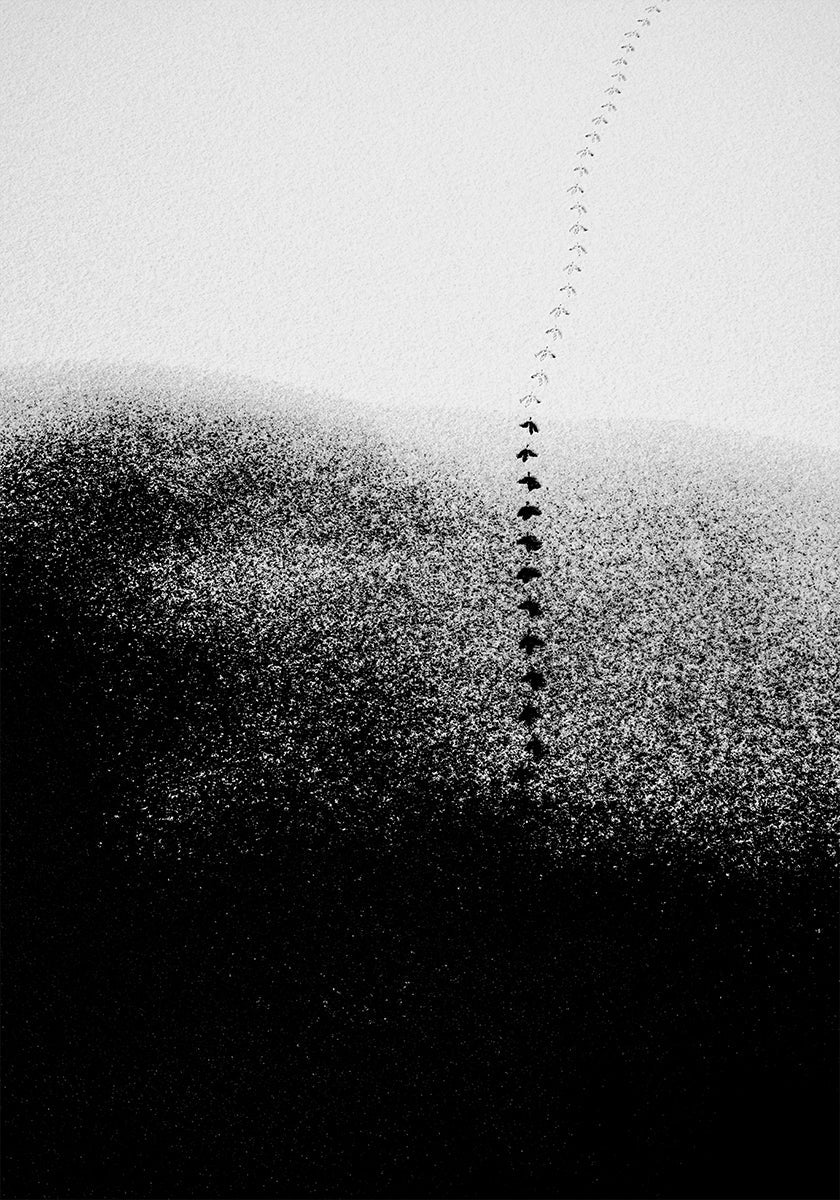 Jalanjäljet lumessa Juliste