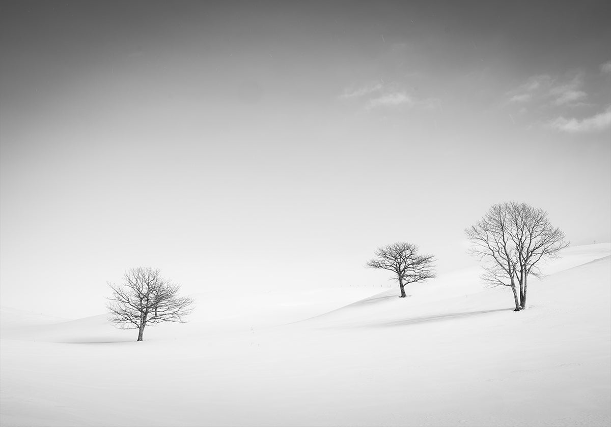 Just the Three of Us Plakat