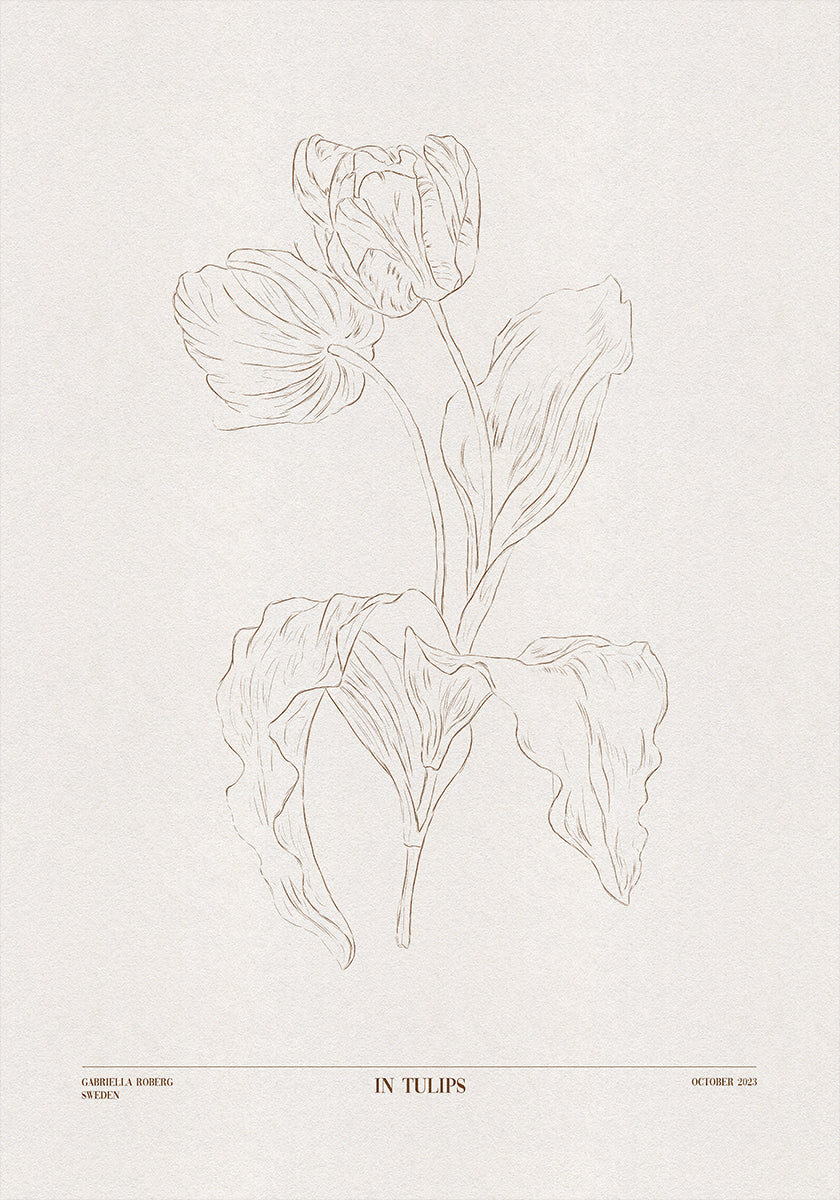 Tulppaaniin (ruskea)