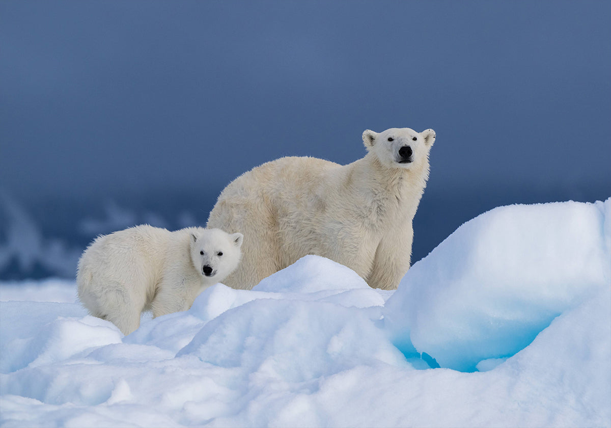 Äiti ja vauva -juliste