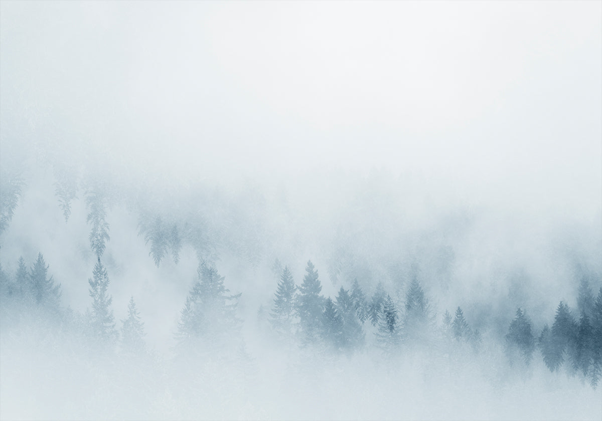 Misty Pines -juliste