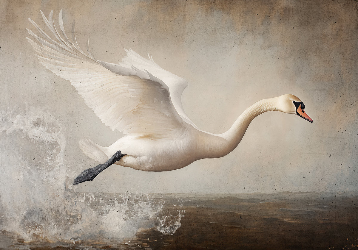 Graceful Lento