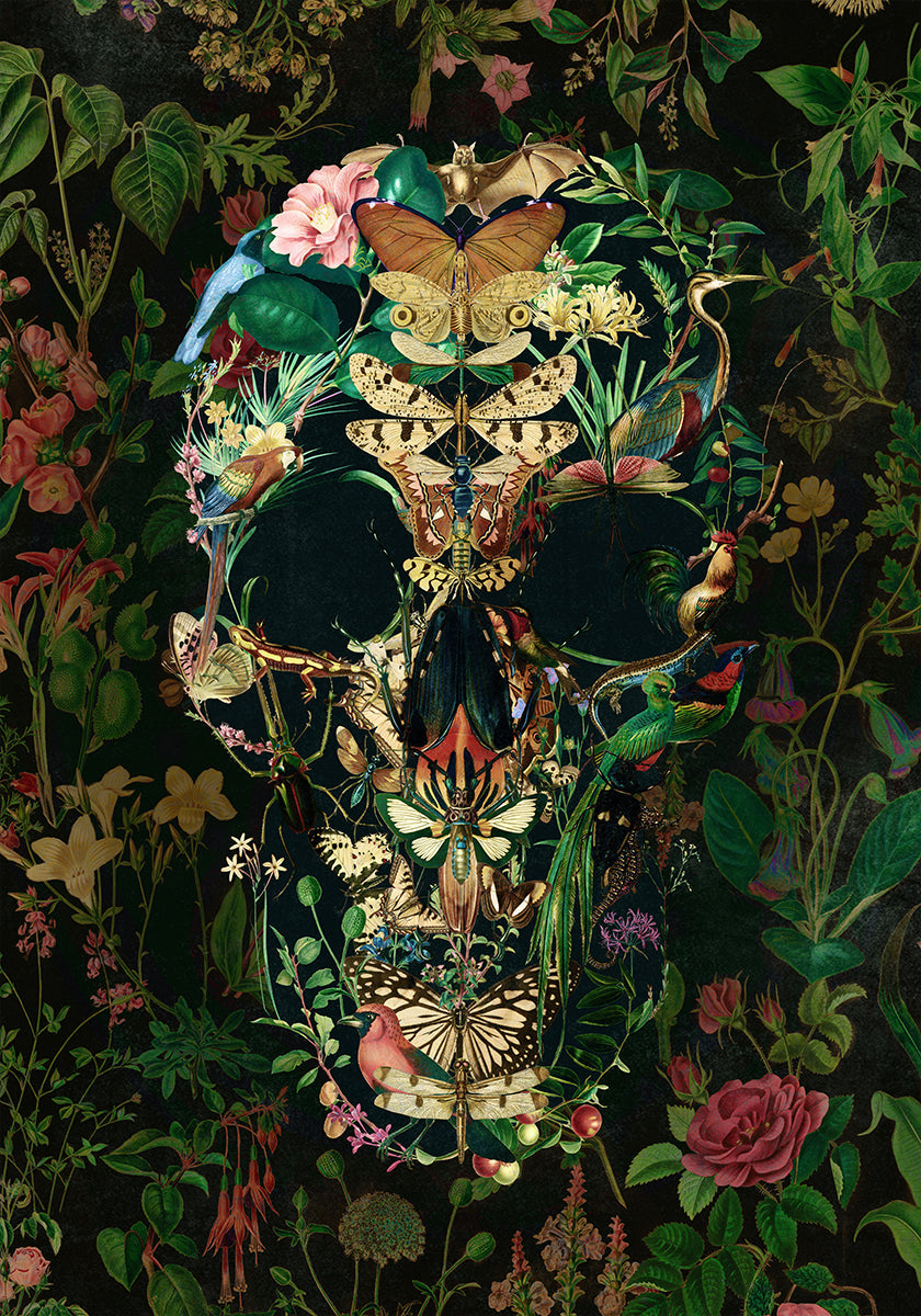 Papillon Skull -juliste