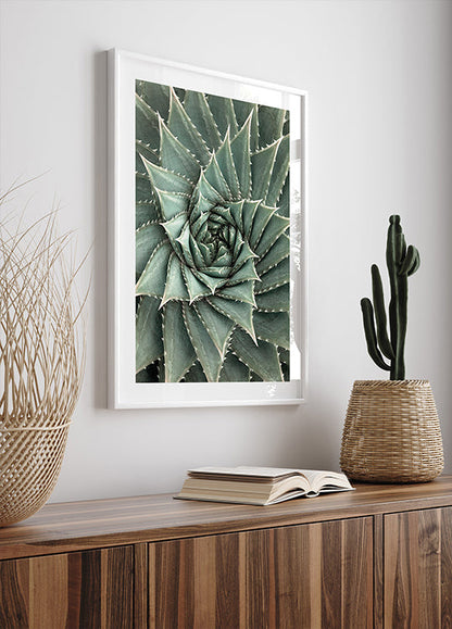 a picture of a green plant in a white frame