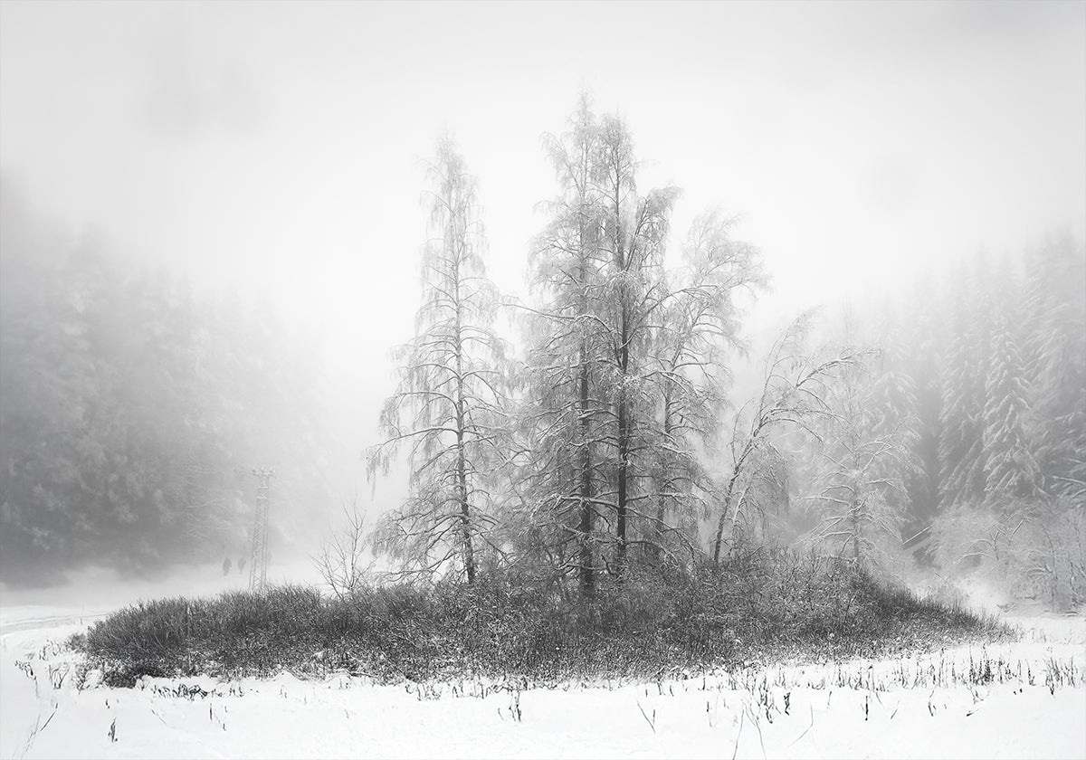 Talvi vuorella Juliste