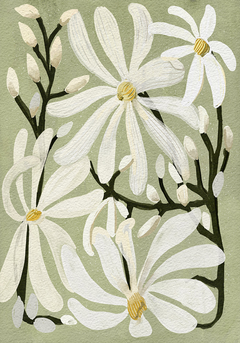 Star Magnolia Florals on Sage tausta juliste