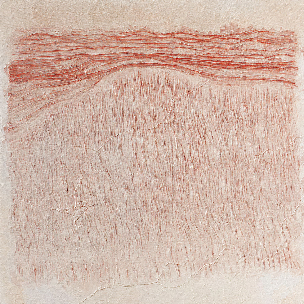 Whispering Textures Plakater