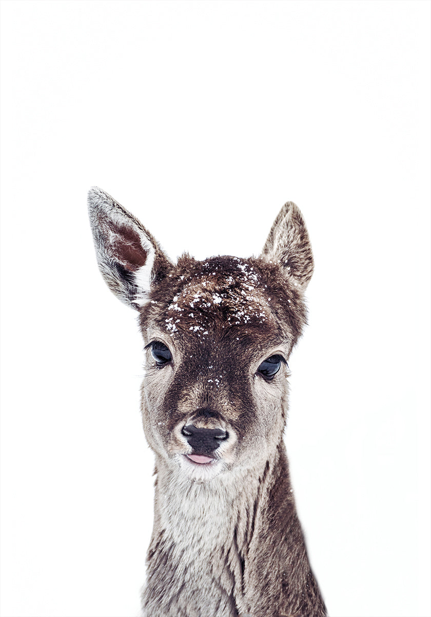 Little Fawn Fiona -juliste