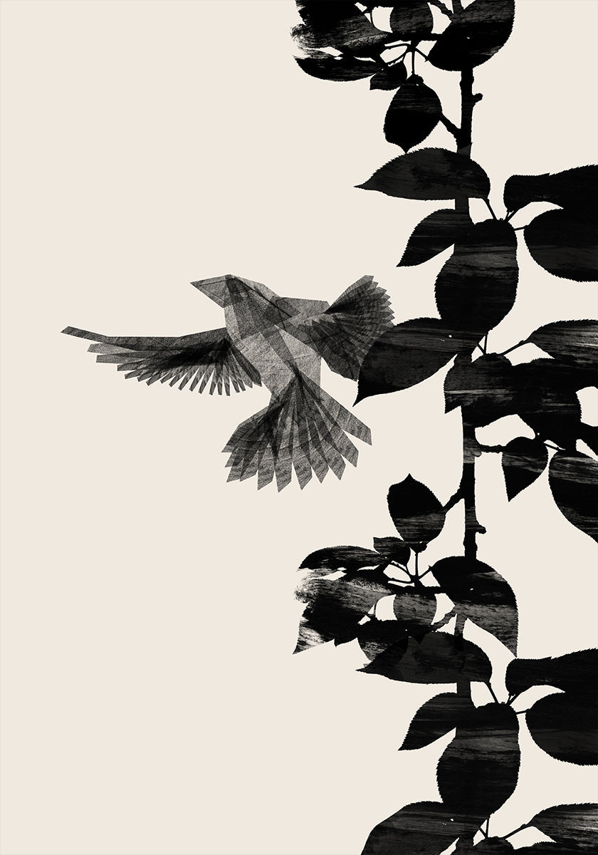 Bird Botanical 20x30 juliste