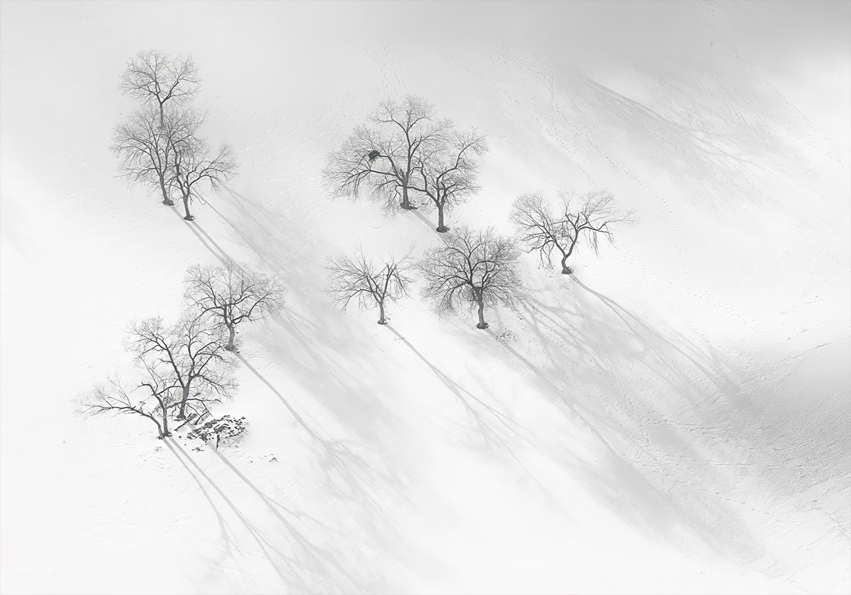 Talven unelma - still-balettijuliste