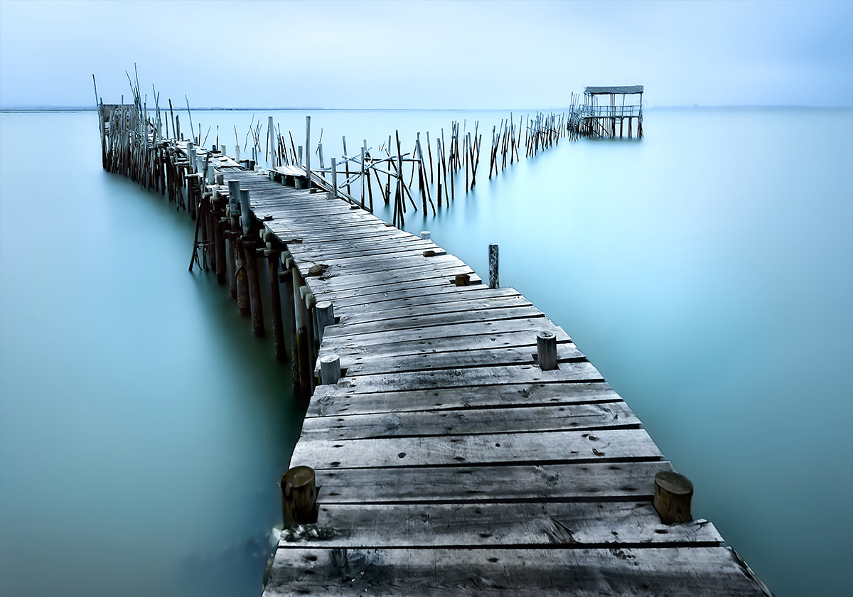 Carrasqueira II juliste