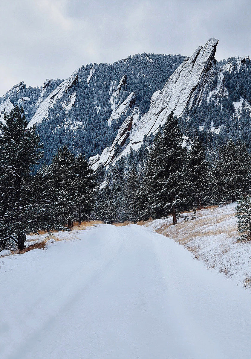 Frozen Flatiron -juliste