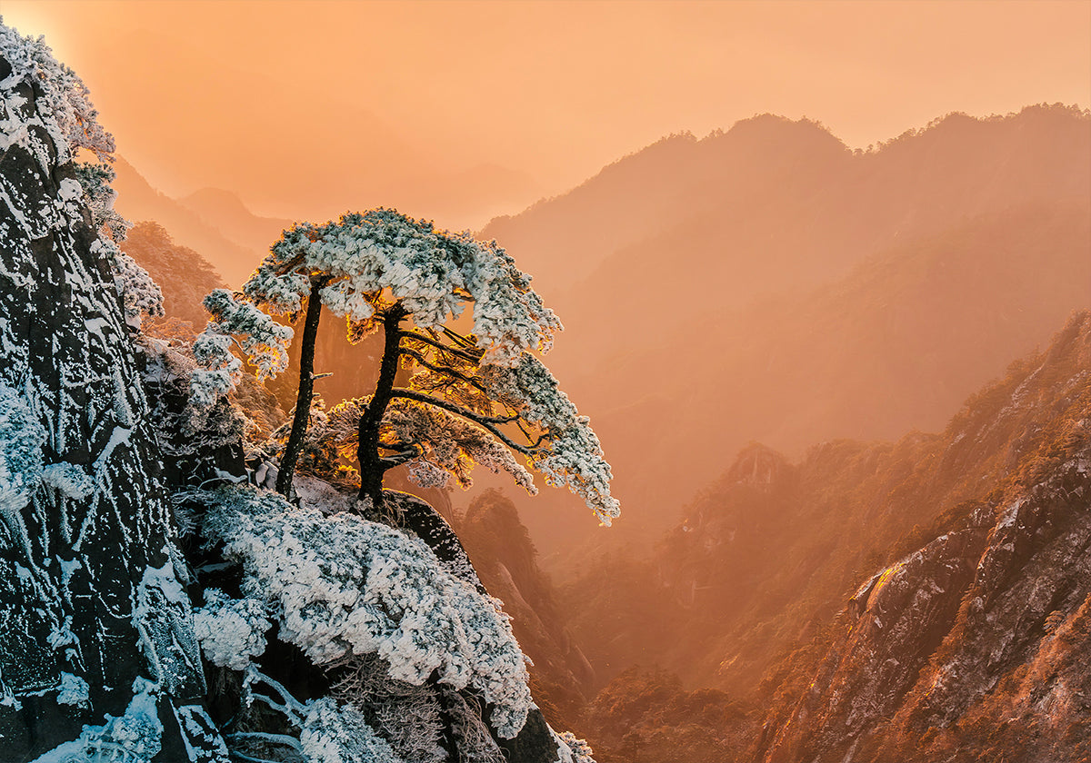 Resilience on the Edge -juliste