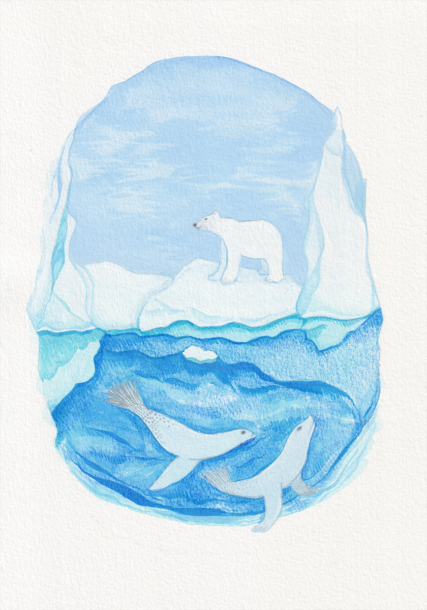 Arctic Life - Frozen Seas - Jääkarhu ja hylkeet -juliste