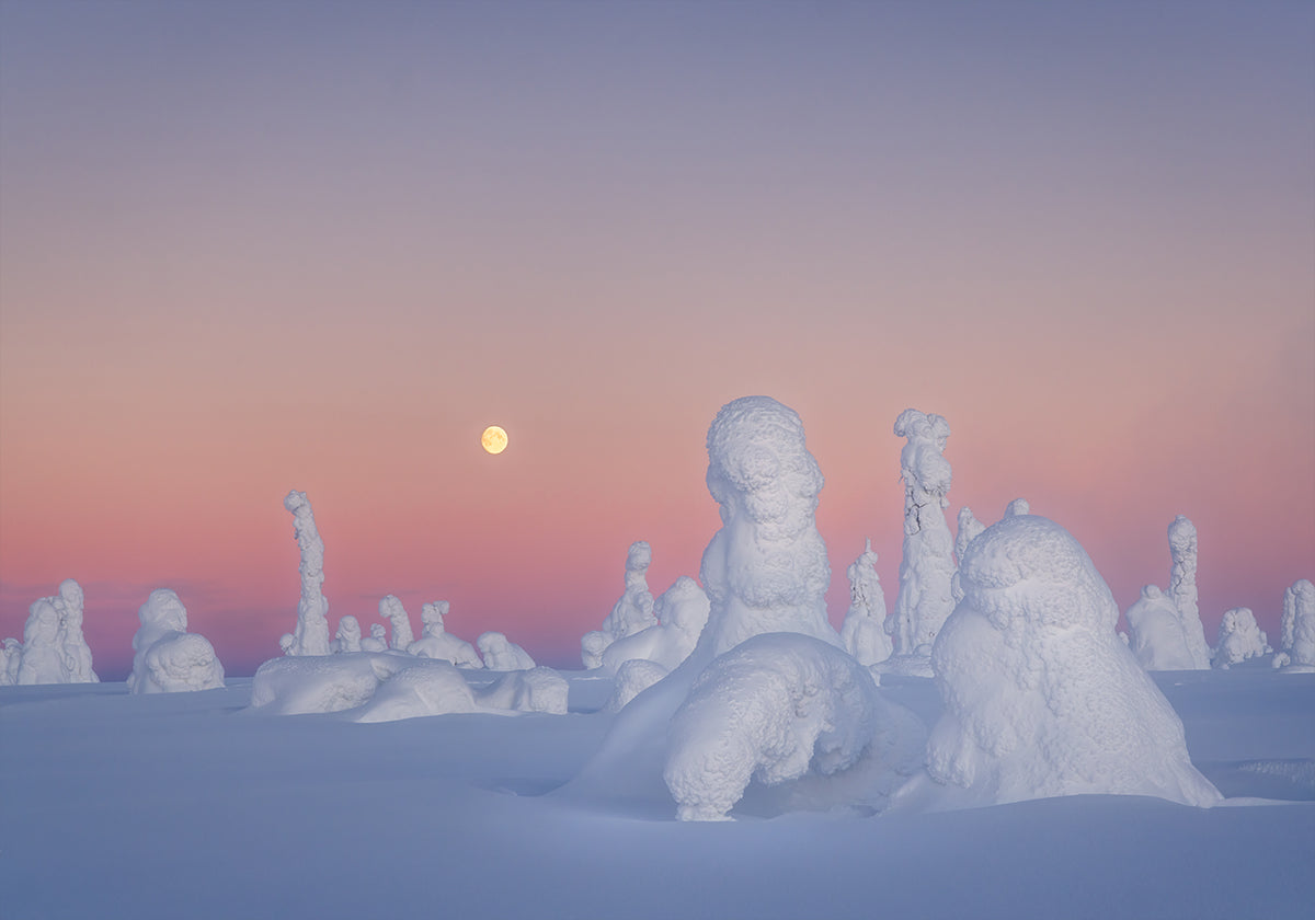 Shakespearen draamajuliste