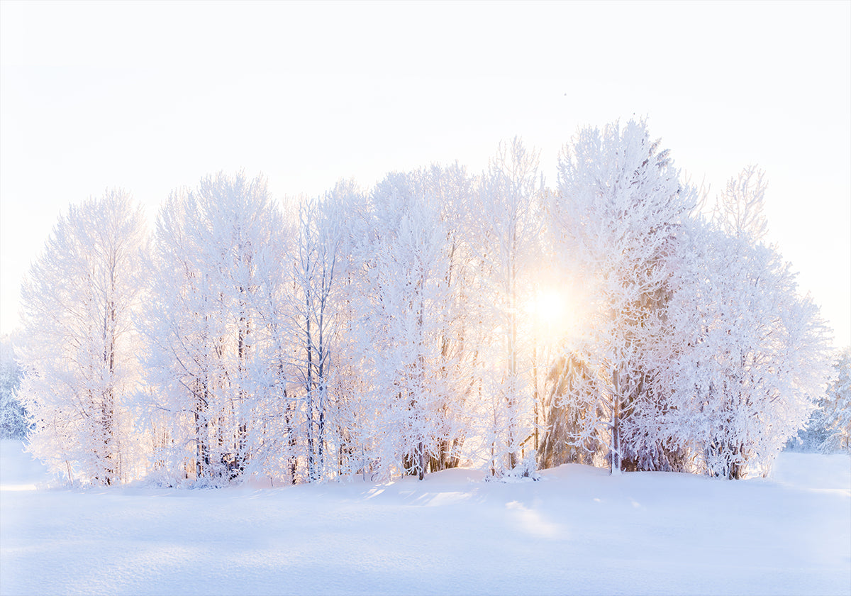 Valo palauttaa julisteen