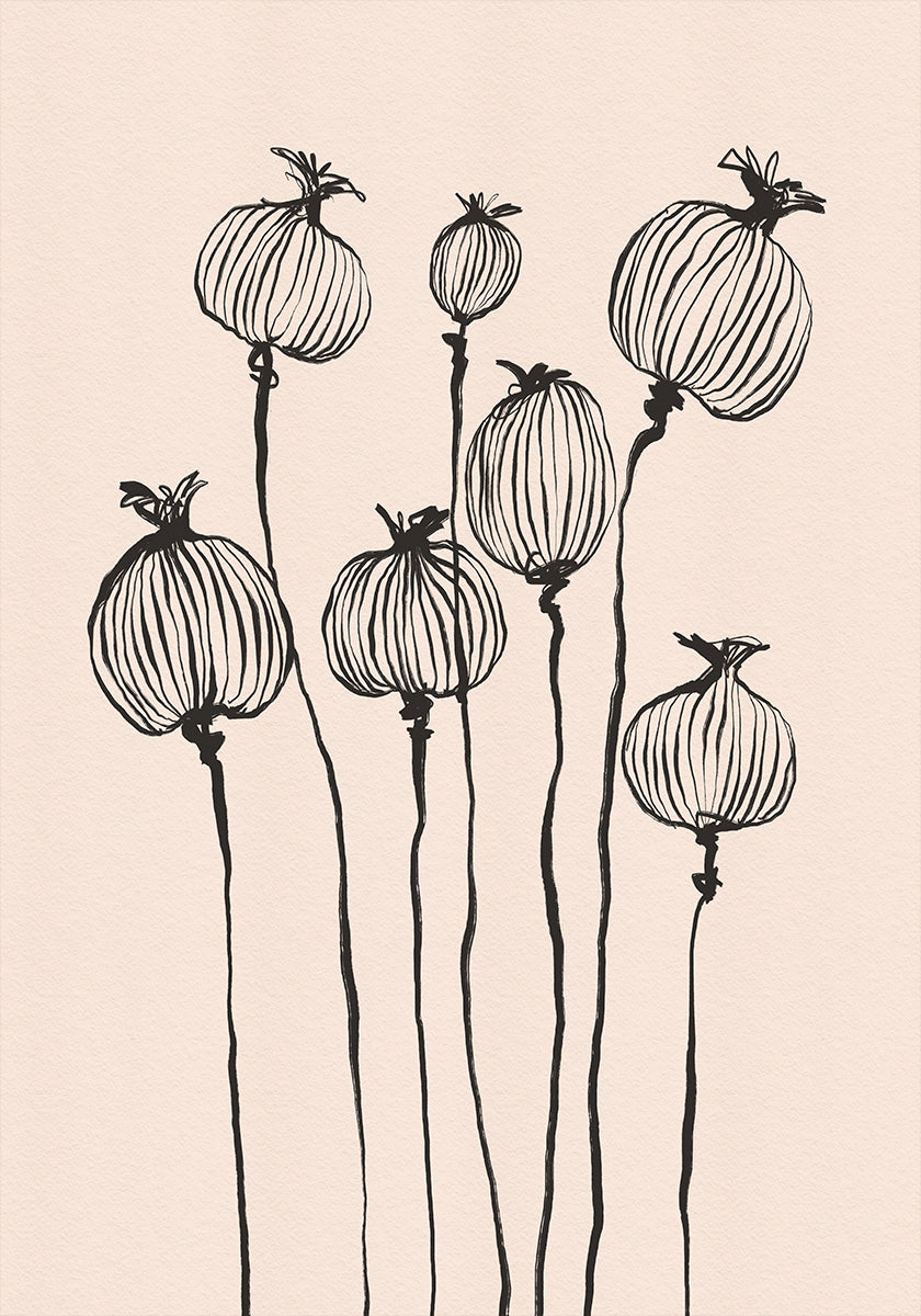 Poppy Pods -juliste