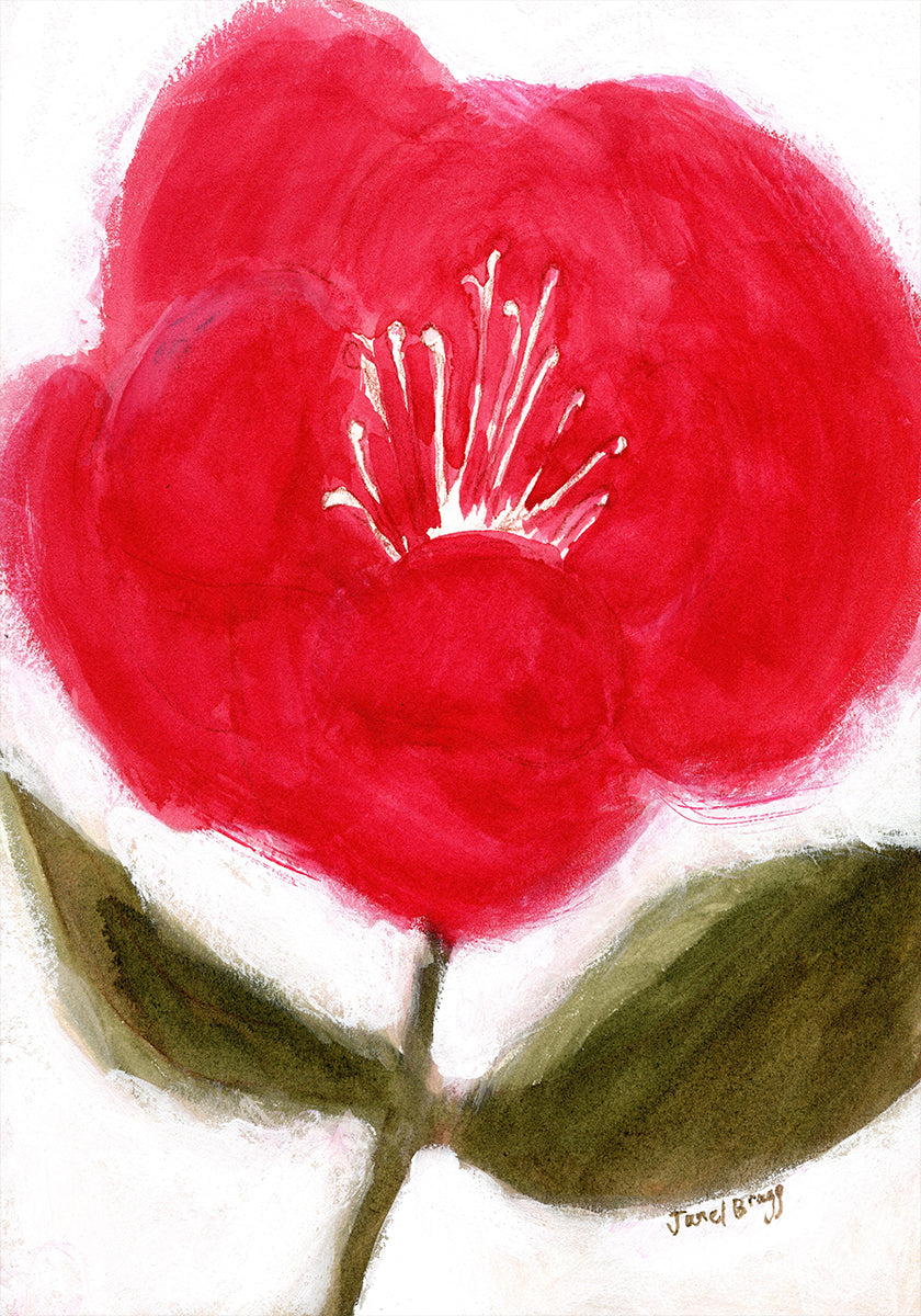 Punainen kukka Cierra-julisteeseen