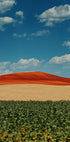 Colorful Hillside (NEW) - Posterbox