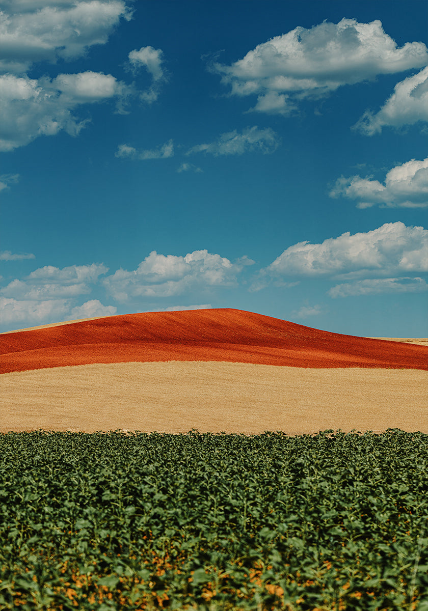 Colorful Hillside (NEW) - Posterbox