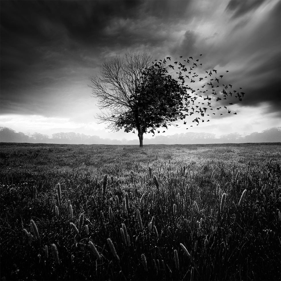 Illusion juliste