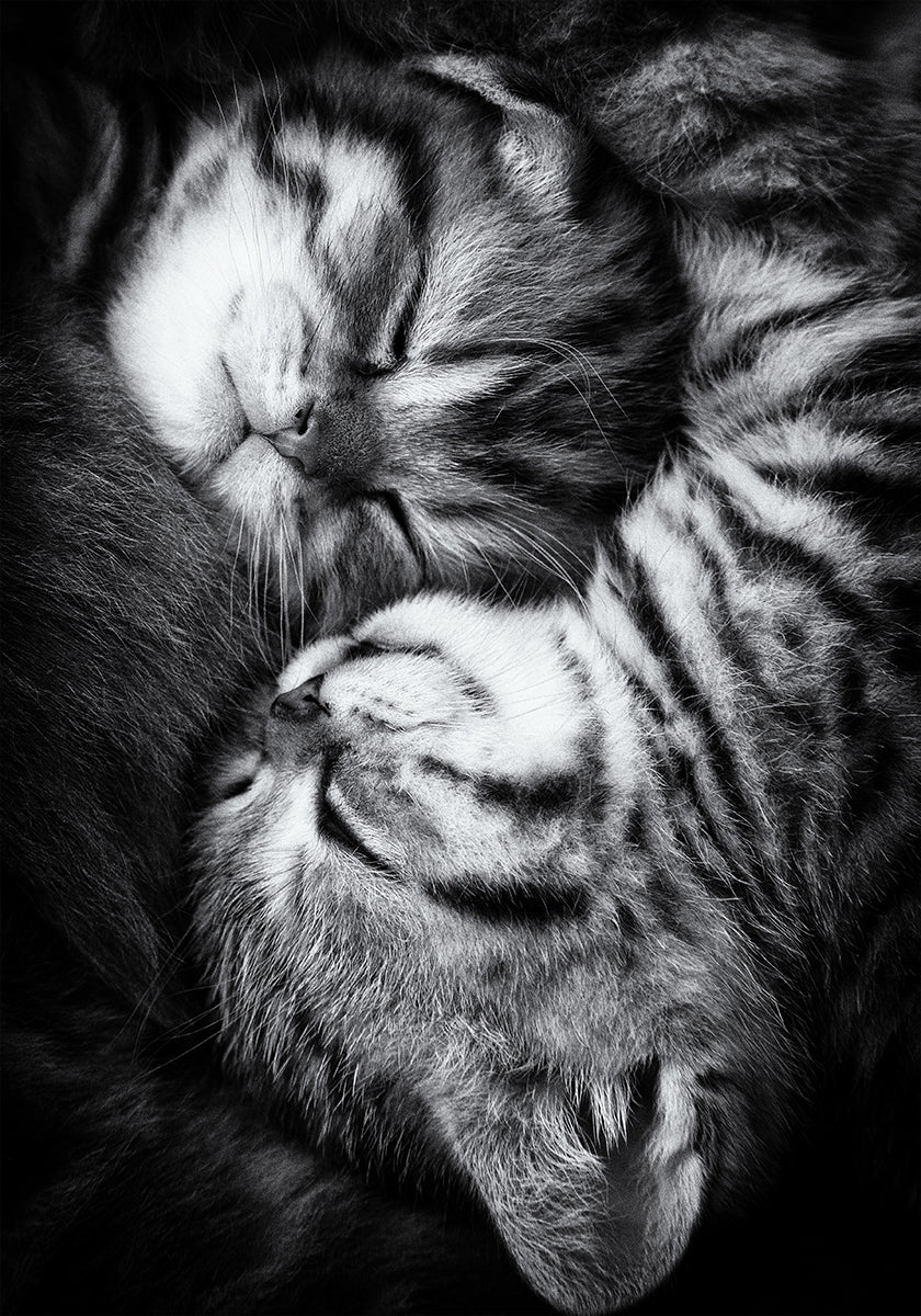 Yin ja Yang