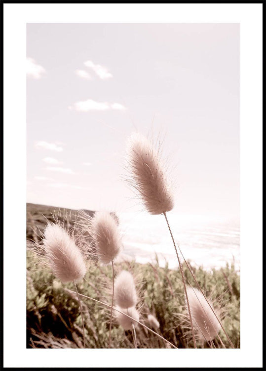 Beach Grass Plakat - Posterbox.no