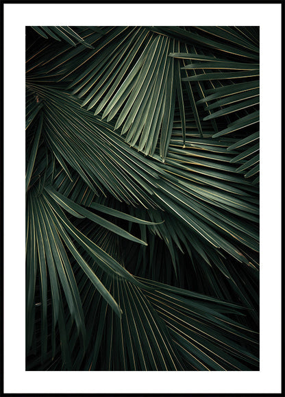 a close up of a palm tree leaves