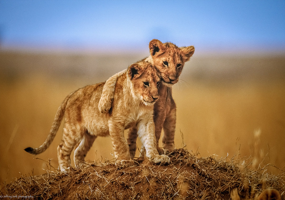 Brothers for Life -juliste