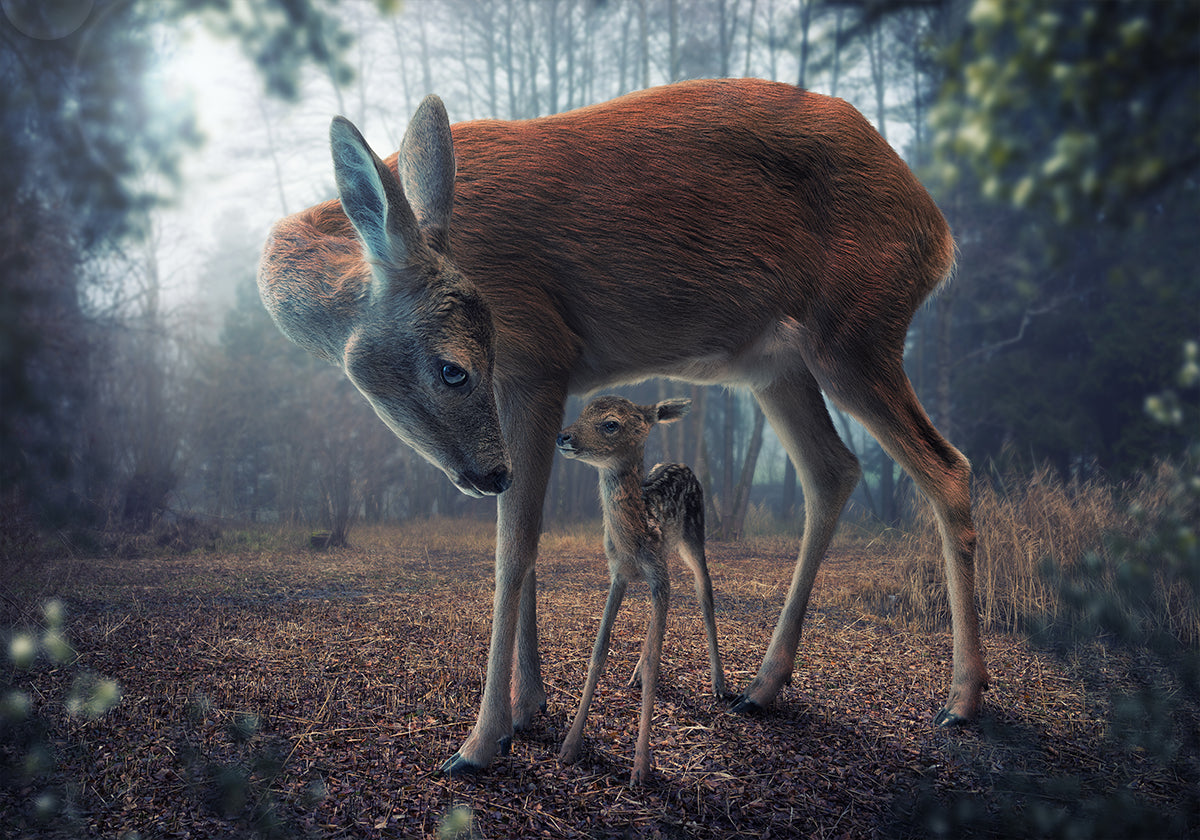 Äiti ja Fawn