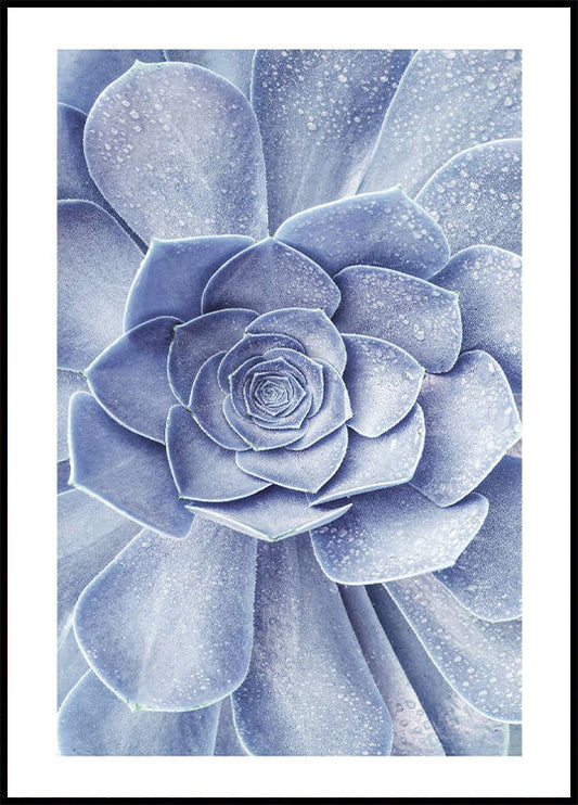 Blue Flower Cactus Plakat - Posterbox.no