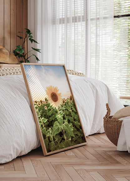 Sunflower Flower Plakat - Posterbox.no