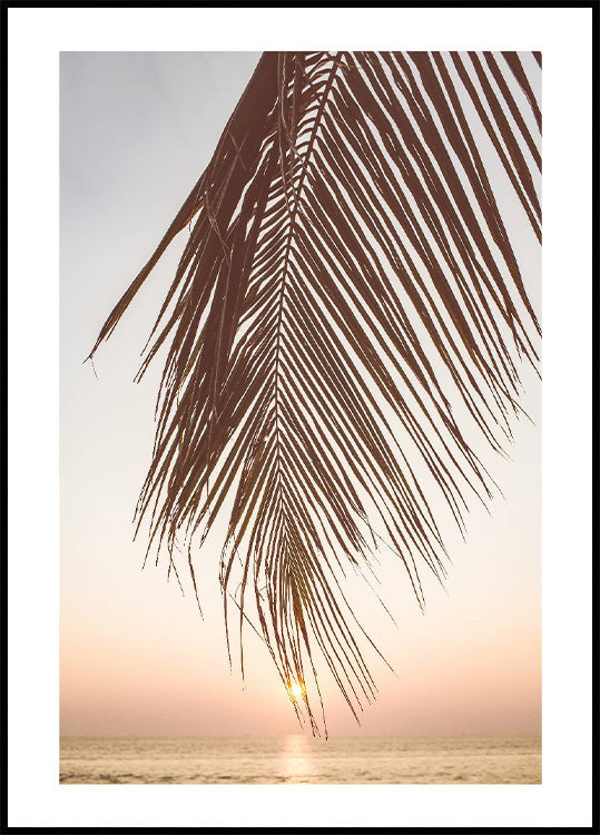 Sunset Palm Leaf Plakat - Posterbox.no