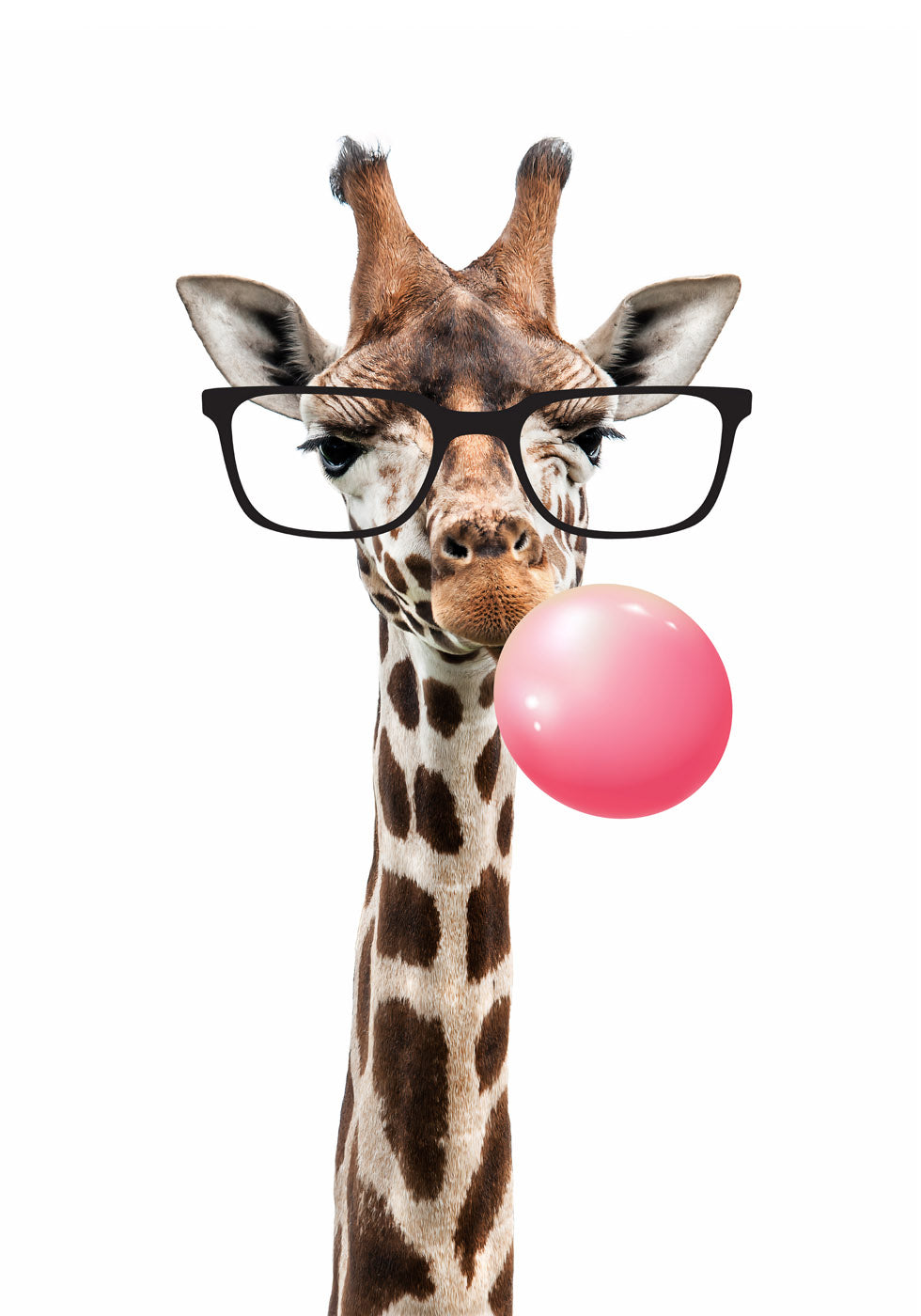 Cute Giraffe with Glasses Plakat - Posterbox.no