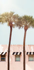 Hotel Miami (NEW) - Posterbox