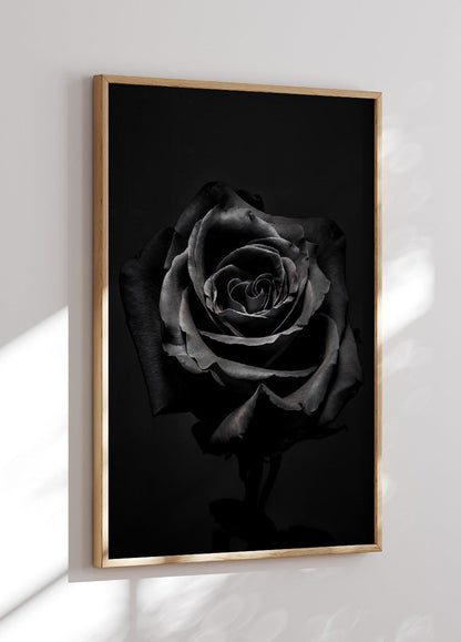 Black Rose Plakat - Posterbox.no