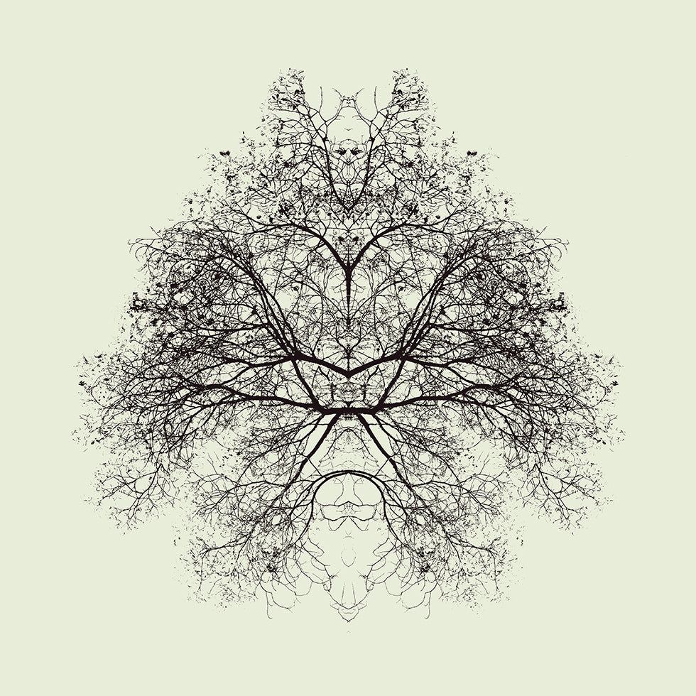 Rorschachin testijuliste