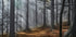 Enchanted forest (NEW) - Posterbox